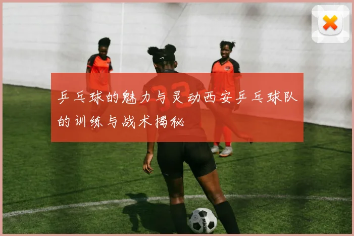 乒乓球的魅力与灵动西安乒乓球队的训练与战术揭秘
