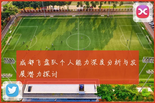 成都飞盘队个人能力深度分析与发展潜力探讨